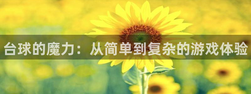 杏悦2 -首选推荐平台：台球的魔力：从简单到复杂的游戏体验