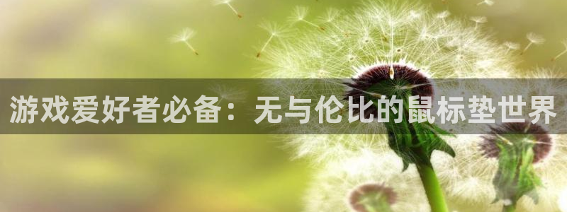 杏悦2注册官网：游戏爱好者必备：无与伦比的鼠标垫世界