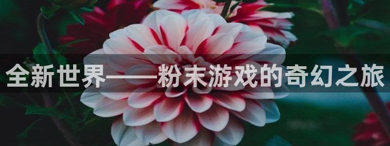 杏悦2官网集团：全新世界——粉末游戏的奇幻之旅