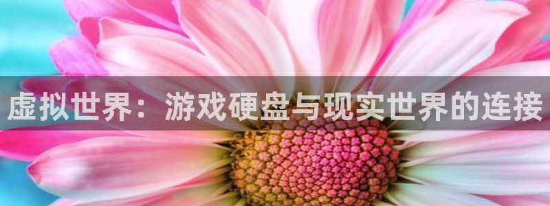 杏悦2会员申请入口：虚拟世界：游戏硬盘与现实世界的连接