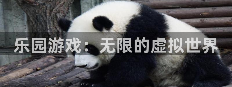 杏悦2会员兑换码：乐园游戏：无限的虚拟世界