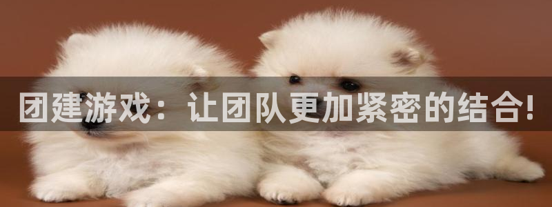 杏悦2平台招商