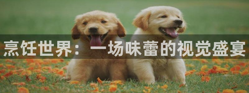 杏悦2平台测速