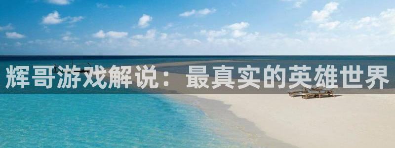 杏悦2平台官网：辉哥游戏解说：最真实的英雄世界