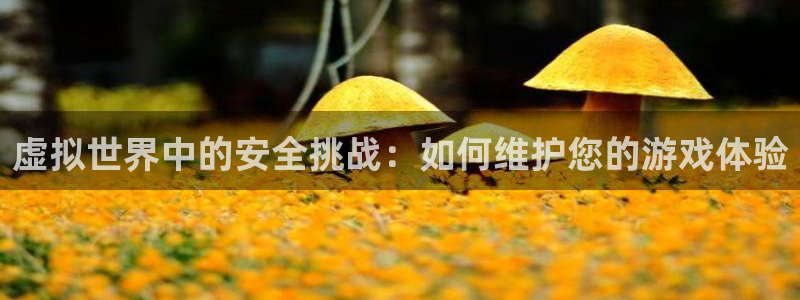 杏悦2代理的介绍：虚拟世界中的安全挑战：如何维护您的游戏体验